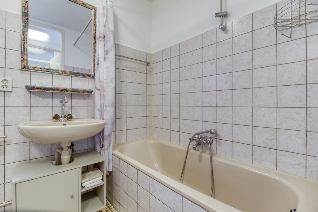 Lamsoor 3b Nieuwvliet-12.jpg